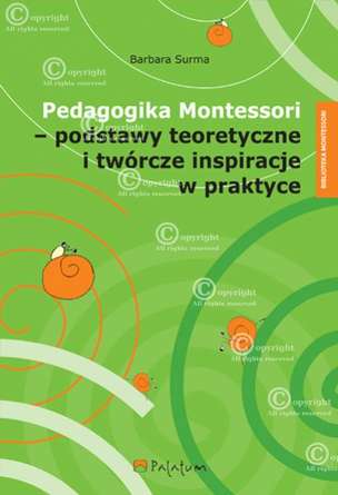 Okładka książki Przekształcenia małych miast w Polsce
