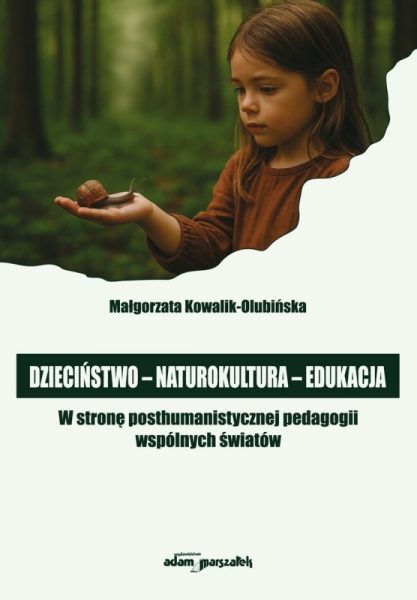 Okładka książki Przekształcenia małych miast w Polsce